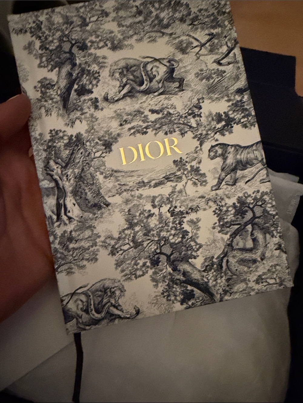 Dior notebook - Picture 3 of 7